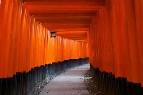 Privat Fushimi Inari sightseeing og Nishiki Food Tour