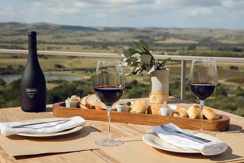 Wine Tasting