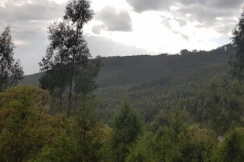 Bytur i Addis, Transit i Addis med bil