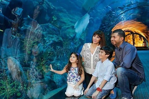 半日ドバイ市内観光とドバイ水族館水中動物園訪問