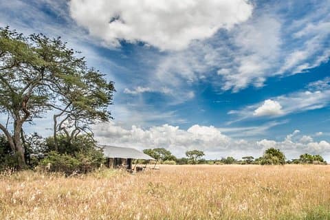 5 Days Serengeti Migration Safari