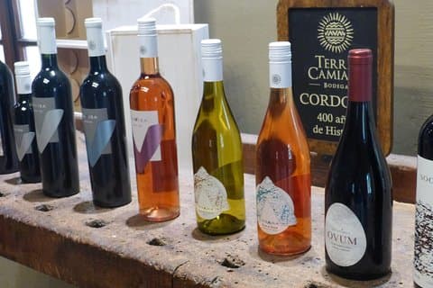 PRIVATE TUR: Caroya WineTour半日ツアー