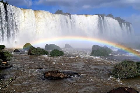 Privat transport med guide til Brazil Falls + Bird Park