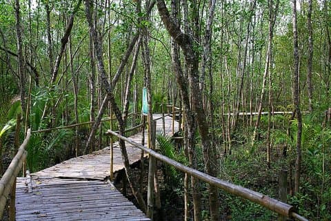 Aklan Vibrant Kalibo Tour