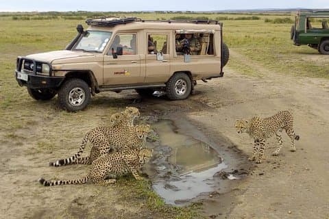 3 días de safari económico en Masaai Mara