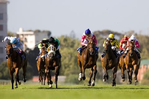 Passeio Kenilworth Raceday