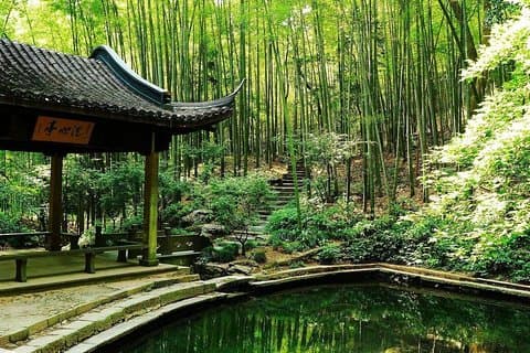 Excursion privée d'une journée dans la forêt de bambous et le lac West Yunxi avec expérience de plantation de thé