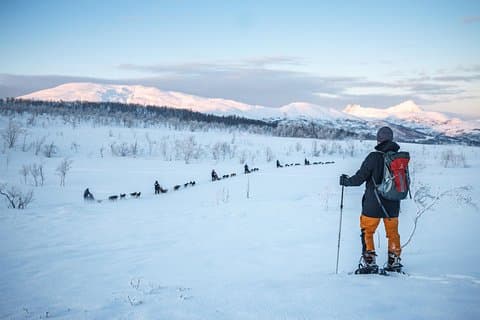 Randonnée guidée en raquettes avec Huskies