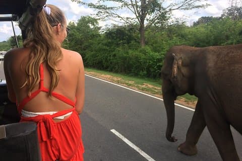 Yala Safari Drive Fra Ella