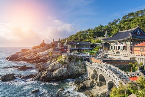 Cruise Layover: kleine groep Busan hoogtepunten dagtour