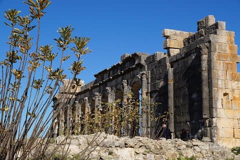 Viagem organizada Fes à Meknes Volubilis Moulay Idriss