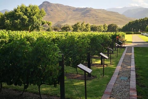 Excursão guiada ultra flexível de dia inteiro em Cape Winelands.