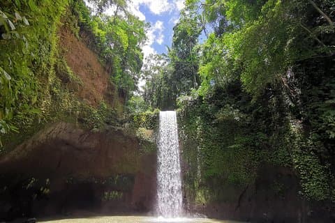 Ubud Village, Tegalalang Rice Terrace Swing, Tirta Empul Temple en Waterfafall
