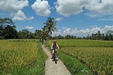Ubud Eco Culture Radfahren Exploration