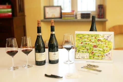 Besøg blandt vinmarker og vinkælder med vinsmagning i Nizza Monferrato