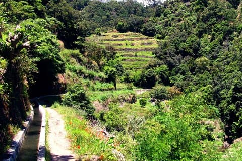 Levada dos Maroços