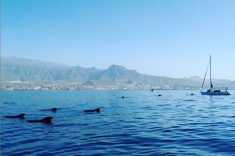 Charte privée à Tenerife sud max 7 personnes
