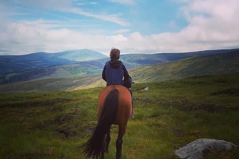 Wicklow Mountains Hästvandring