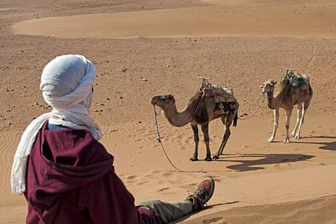 2-Day Zagora Desert Trip from Marrakech