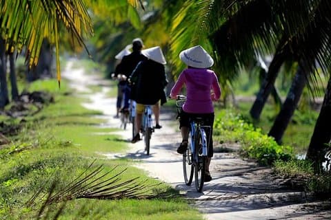 Passeio de bicicleta no campo, cestaria e aula de culinária