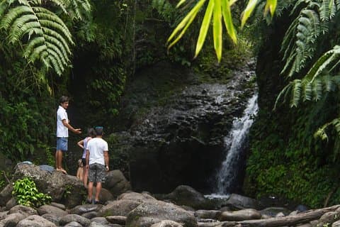 Expérience de randonnée conviviale à Oahu