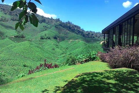 Cameron Highlands 3 dias 2 noites excursões privativas (por veículo)