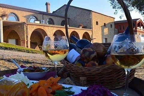 Degustação de vinhos e Azeite nos arredores de Tirana