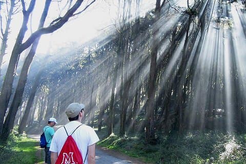 Private Guided Hike in Sintra-Cascais National Park, Lisbon