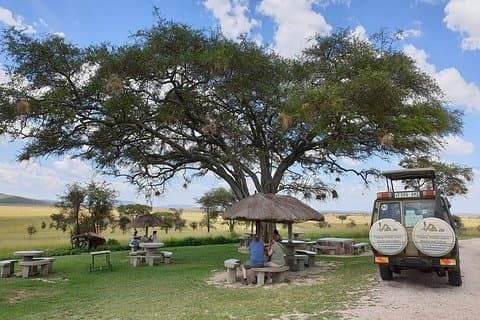 3 dagar Tanzania Lodge Safari