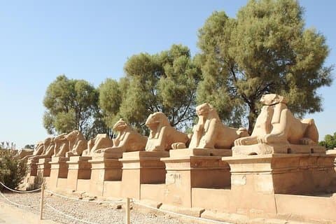 Full Day Luxor Tour Dal Cairo In aereo