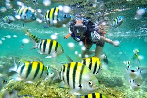 Yogyakarta Nglambor Beach Snorklingstur med privat transport