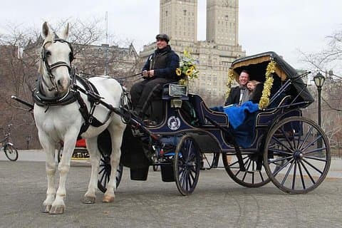 Officiella NYC hästvagnsturer i Central Park sedan 1979™