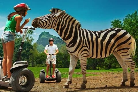 Enchanteur Sud-Ouest - Excursion d'une journée avec CASELA Park et déjeuner