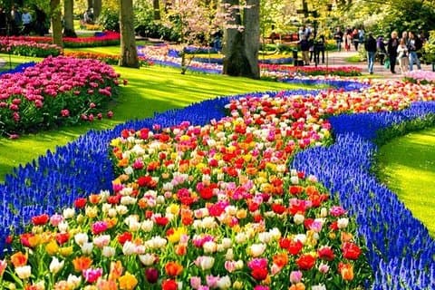 Keukenhof Skip-the-line billetter: Land og gård privat tur