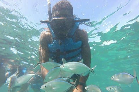Snorkeling Catamaran Tour & Parasailing