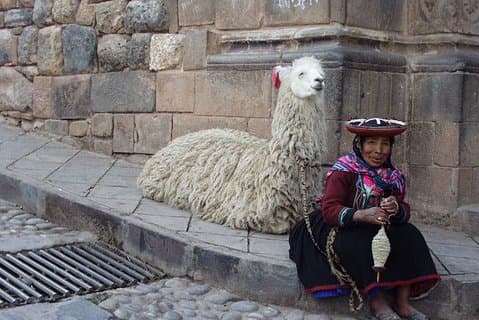 Byrundtur i Cusco: Privat halvdag