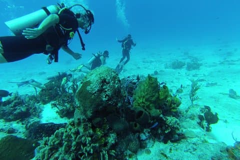 Chankanaab Cozumel Plongée sous-marine