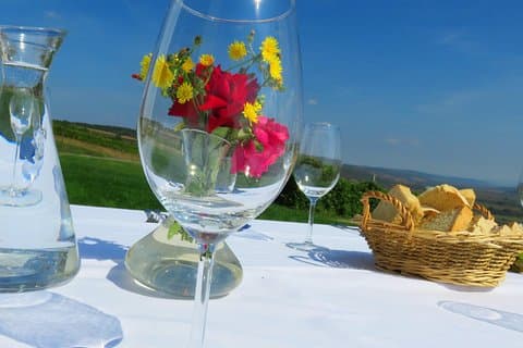 La strada del vino in bici - gita di due giorni