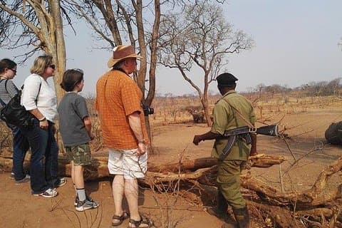 Spildrev/White Rhino sporing