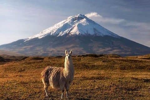Entdecken Sie Cotopaxi: All-Inclusive-Wandertour