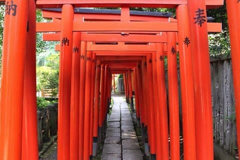 Visite privée à Tokyo pour apprendre l'histoire et le shinto