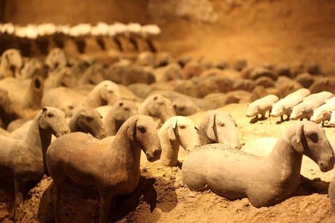Tour privado de Xi'an: Guerreros de terracota, Museo Hanyangling, Casas Cueva