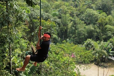 One day tours in the Jungle - Puyo | Night Tours in Baños | On a day of adventure