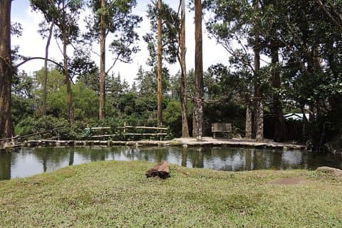 Tur til Anton Valley fra Panama City Nature, Vandfald