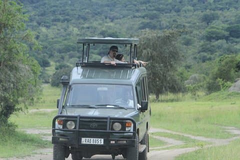 3 Dager Rwanda Akagera Wildlife Safari (Pick up & drop off))