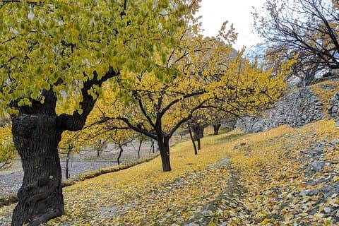 Tour d'automne de Hunza