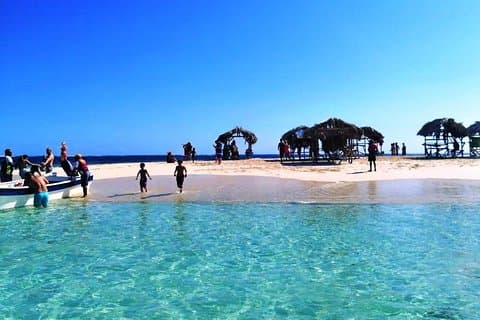 Excursão Ilha do paraíso e manguezais