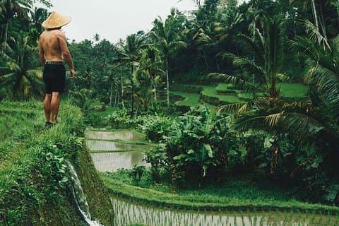 Ubud Tour: Best of Ubud with All Inclusive