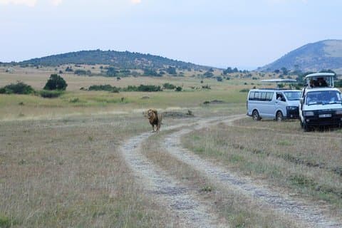6 Days private safari package Kenya