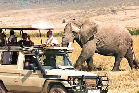 Safari di lusso Samburu Wildlife di 3 giorni su jeep Land Cruiser 4x4